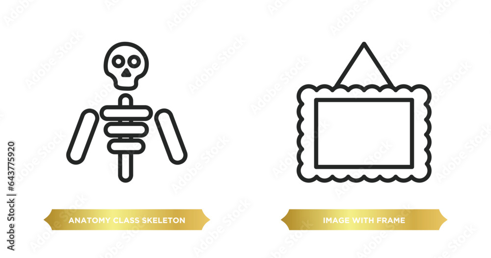 Poster two editable outline icons from user interface concept. thin line icons such as anatomy class skelet