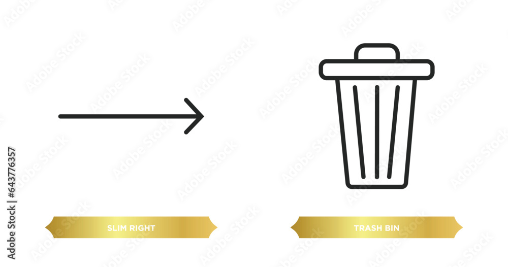 Poster two editable outline icons from user interface concept. thin line icons such as slim right, trash bi