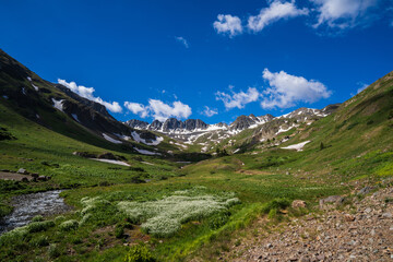 Fototapeta na wymiar American Basin with green tundra and white flowers