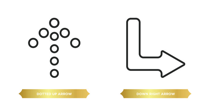 two editable outline icons from user interface concept. thin line icons such as dotted up arrow, down right arrow vector.