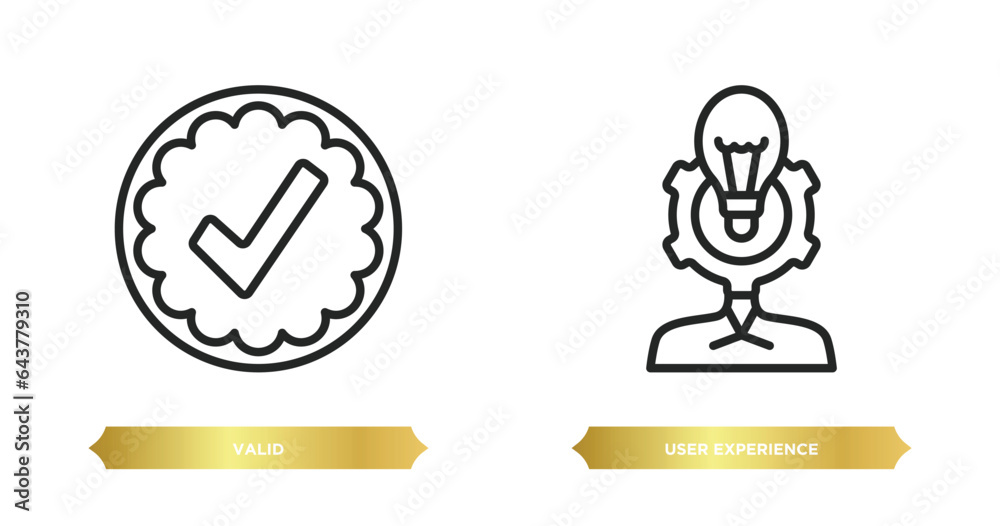 Poster two editable outline icons from startup stategy and concept. thin line icons such as valid, user exp