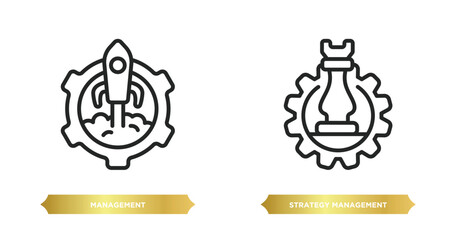 two editable outline icons from startup stategy and concept. thin line icons such as management, strategy management vector.
