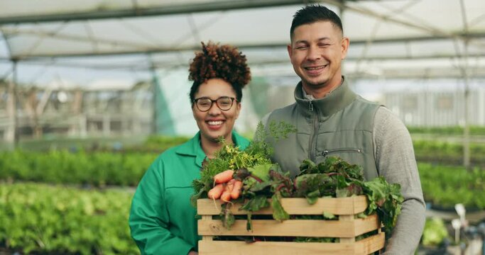 Farmer, teamwork and vegetables box for agriculture, sustainability or farming in greenhouse and agro business. Face of woman and manager gardening, harvest and food development with groceries basket
