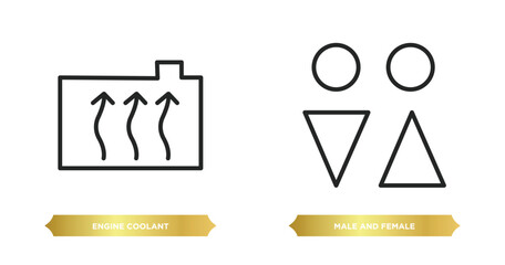 two editable outline icons from shapes concept. thin line icons such as engine coolant, male and female vector.
