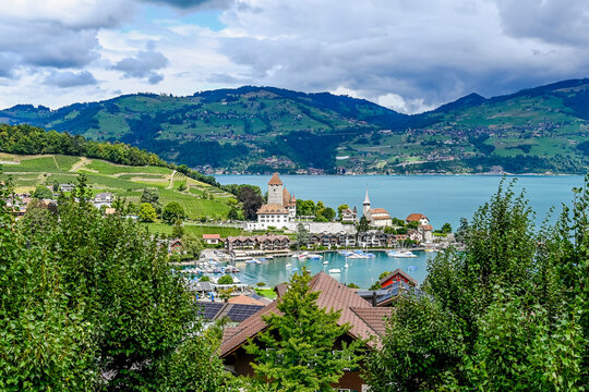 Spiez, Schloss Spiez, Schlosskirche, Stadt, Seeufer, Boote, Hafen, Thunersee, Schifffahrt, Seerundfahrt, Weinberge, Beatenberg, Niederhorn, Aussichtspunkt, Sommer, Schweiz 
