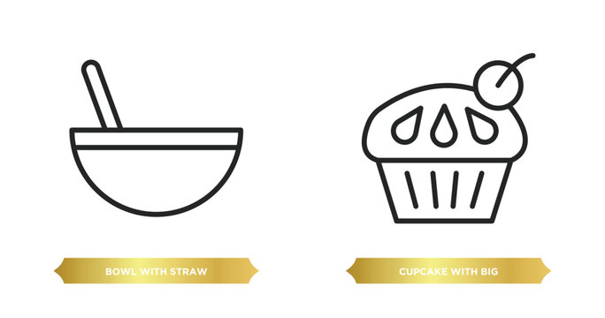 two editable outline icons from party concept. thin line icons such as bowl with straw, cupcake with big cherry vector.