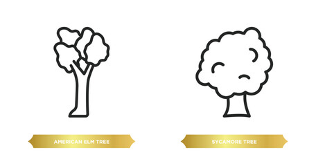 two editable outline icons from nature concept. thin line icons such as american elm tree, sycamore tree vector.