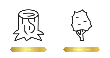 two editable outline icons from nature concept. thin line icons such as trunk, the maples tree vector.