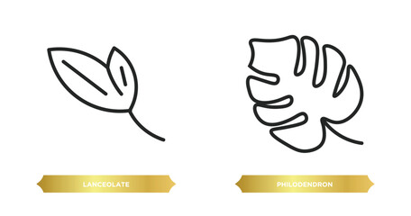 two editable outline icons from nature concept. thin line icons such as lanceolate, philodendron vector. © IconArt
