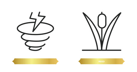 two editable outline icons from nature concept. thin line icons such as , reed vector.