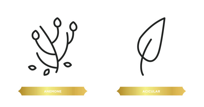 two editable outline icons from nature concept. thin line icons such as anemone, acicular vector.