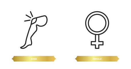 two editable outline icons from medical concept. thin line icons such as knee, female vector.
