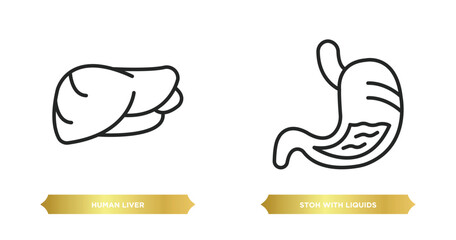 two editable outline icons from human body parts concept. thin line icons such as human liver, stoh with liquids vector.