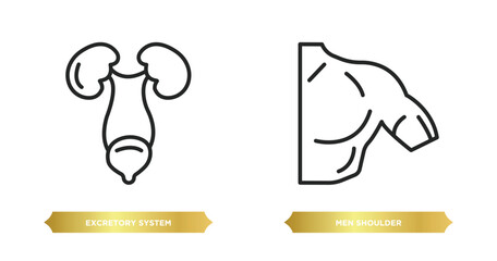 two editable outline icons from human body parts concept. thin line icons such as excretory system, men shoulder vector.
