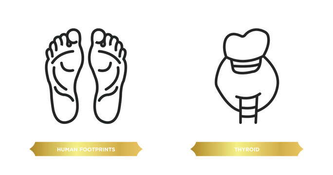 two editable outline icons from human body parts concept. thin line icons such as human footprints, thyroid vector.