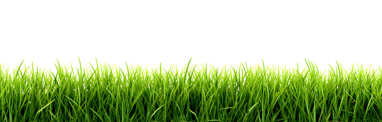 Horizontally aligned the lush green lawn or grassy meadow close-up, front view, isolated on a white background, realistic design illustration, generative ai - 643789186