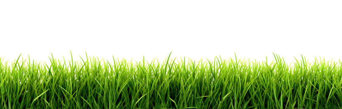 Horizontally aligned the lush green lawn or grassy meadow close-up, front view, isolated on a white background, realistic design illustration, generative ai