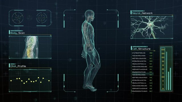 Analysis of Human Male Anatomy Scan Walking on Futuristic Touch Screen Interface showing bones, organs, and neural network activity. Concept: In the Near Future of Medicine and Healthcare.