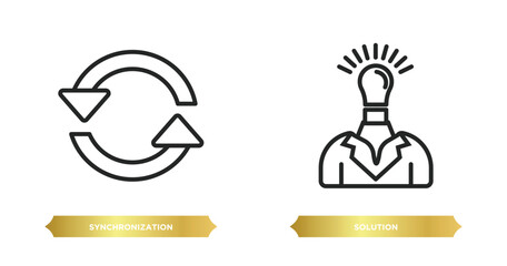 two editable outline icons from business concept. thin line icons such as synchronization, solution vector.