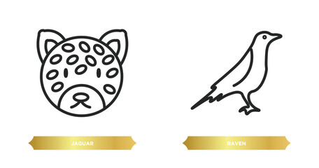 two editable outline icons from animals concept. thin line icons such as jaguar, raven vector.