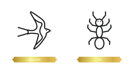 two editable outline icons from animals concept. thin line icons such as swallow, ant vector.
