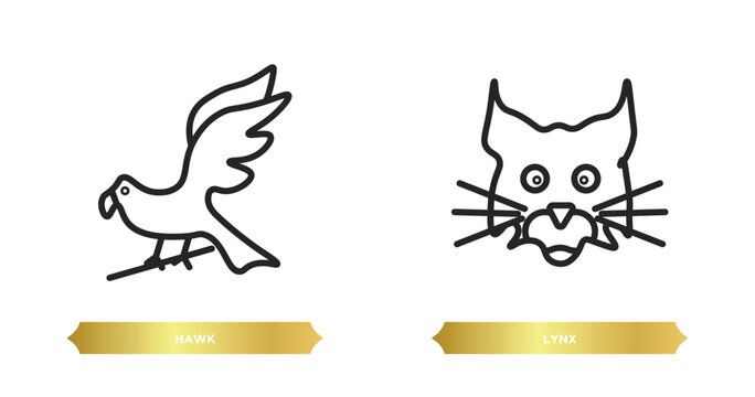 two editable outline icons from animals concept. thin line icons such as hawk, lynx vector.