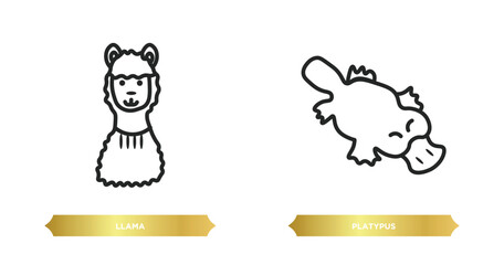 two editable outline icons from animals concept. thin line icons such as llama, platypus vector.