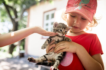 A girl holds a small frightened kitten