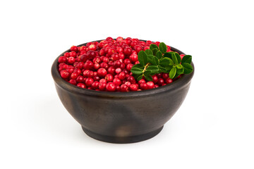 Fresh wild lingonberry berries with leaves, isolated on white background.