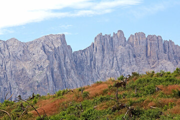il gruppo del Latemar da nord (Dolomiti di Fassa)