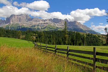 Fototapeta na wymiar il versante ovest del gruppo del Catinaccio nelle Dolomiti di Fassa
