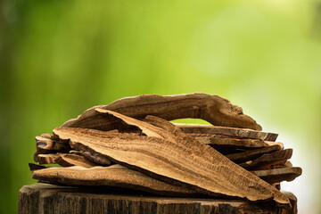 Reishi or lingzhi mushroom and dried slices on nature background.