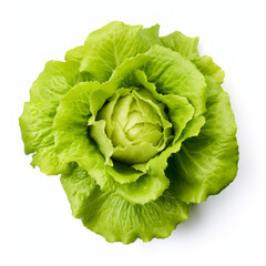 Photo of Lettuce isolated on a white background