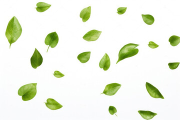 Vibrant image capturing bunch of green leaves floating gracefully in air. Perfect for nature-themed designs and projects.