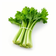 Photo of Celery isolated on a white background