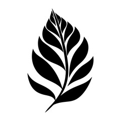 Leaf black icon. Black tropical leaf icon isolated.