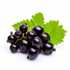 Photo of Blackcurrant isolated on a white background