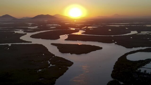 Cinematic ascending view on a beautiful sunset that is illuminating water channels inside mangrove forest
