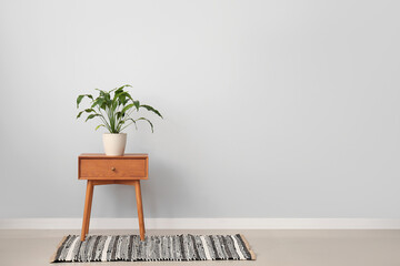Green plant on wooden table near light wall in room