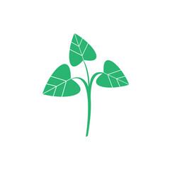 natural plant leaf design icon vector illustration