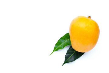 Tropical fruit, Mango  on white background. Top view