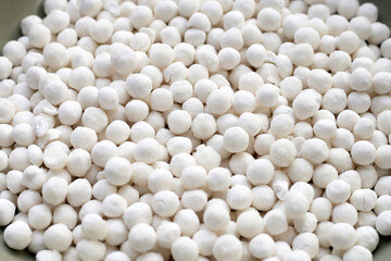 Big tapioca pearls, sago seeds