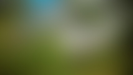 Abstract colored blurred background. Smooth transition of colors. Gradient color
