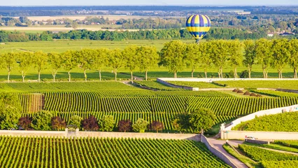 Zelfklevend Fotobehang Balloon ride in Pommard region, France © Voyagerix