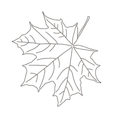 Hand drawn illustration of fallen leaves from trees in fall season. Foliage of various colors is produced.