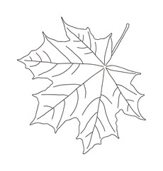 Hand drawn illustration of fallen leaves from trees in fall season. Foliage of various colors is produced.