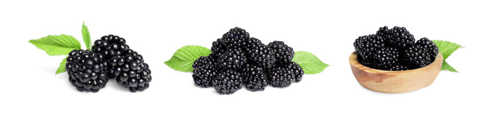 Set with tasty ripe blackberries isolated on white