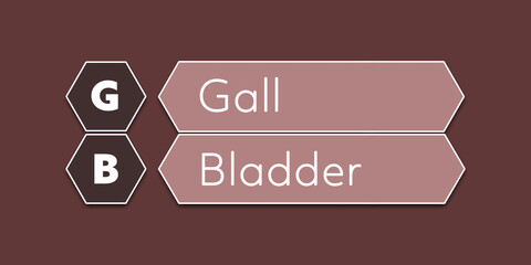 Fototapeta na wymiar GB Gall Bladder. An Acronym Abbreviation of a common Medical term. Illustration isolated on red background