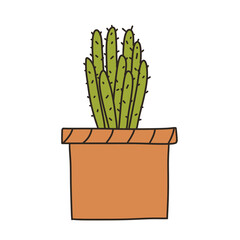 Hand drawn cactus plant