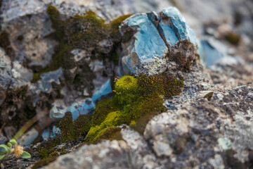 Turquoise rock formation close up with green moss